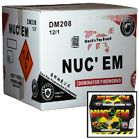 dm208-nucem-case