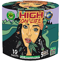 High On Life 500g Fireworks Cake Fireworks For Sale - 500g Firework Cakes 